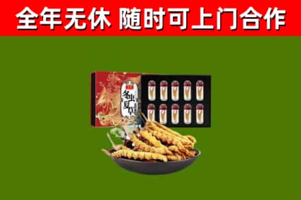 中山烟酒回收冬虫夏草礼盒.jpg
